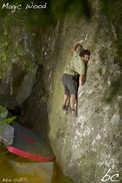 Bodhi in "Bikini slab"